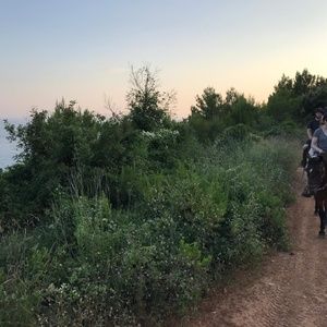 Meet your Posher, Judy